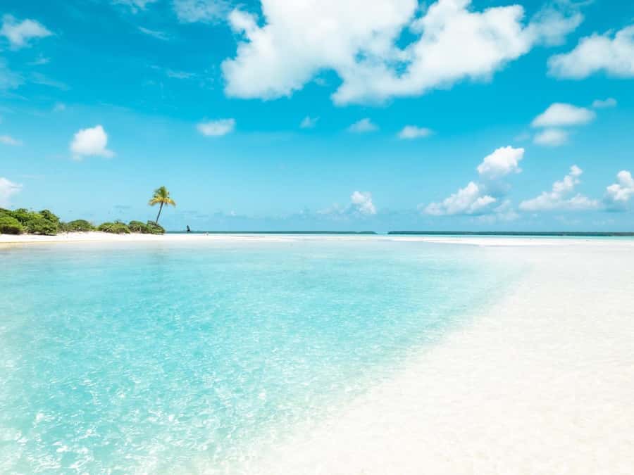 From Tahiti: Tetiaroa Island Tour by Sailing Catamaran - Bird’s Island and the Guided Walk
