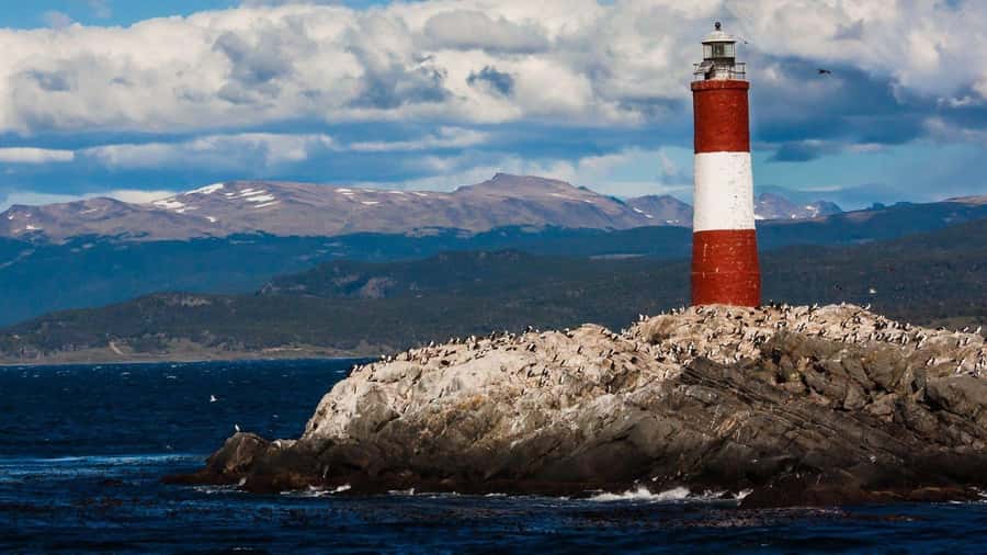 From Ushuaia: Penguin Watching Tour by Catamaran - Les Eclaireurs Lighthouse and the SS Monte Cervantes