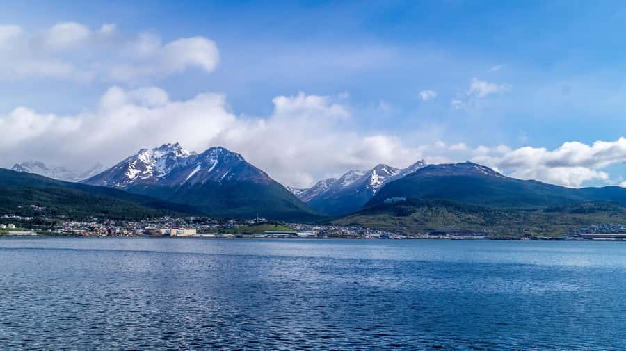 From Ushuaia: Penguin Watching Tour by Catamaran - Should you book the Martillo Island catamaran?