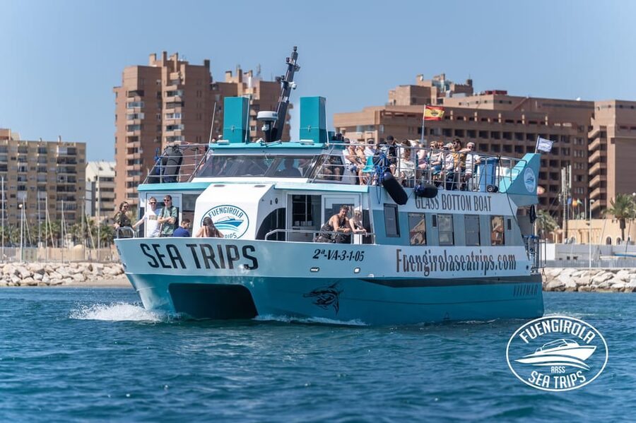 Fuengirola: Catamaran Tour to Spot Dolphins - Key points to know before you go