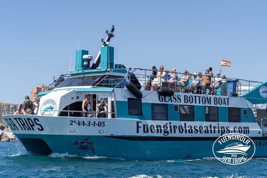 Fuengirola: Catamaran Tour to Spot Dolphins - Watching wild dolphins from the catamaran
