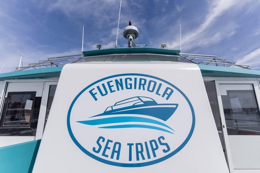 Fuengirola: Catamaran Tour to Spot Dolphins - Choosing the best time and handling rough seas