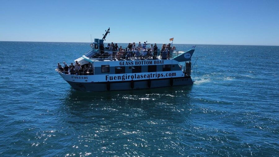 Fuengirola: Catamaran Tour to Spot Dolphins - Who should book this dolphin tour?
