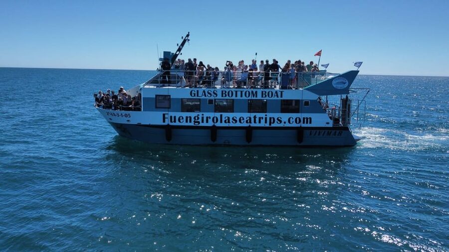 Fuengirola: Catamaran Tour to Spot Dolphins - The first 45 minutes along the Costa del Sol