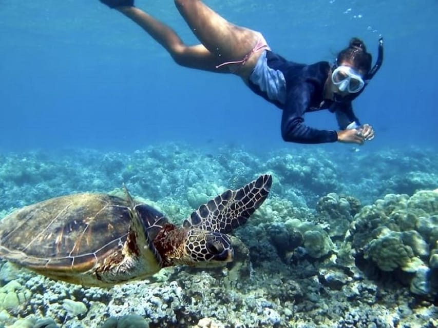 Fuerteventura : Catamaran excursion to Lobos Island - What the $82 price really buys you