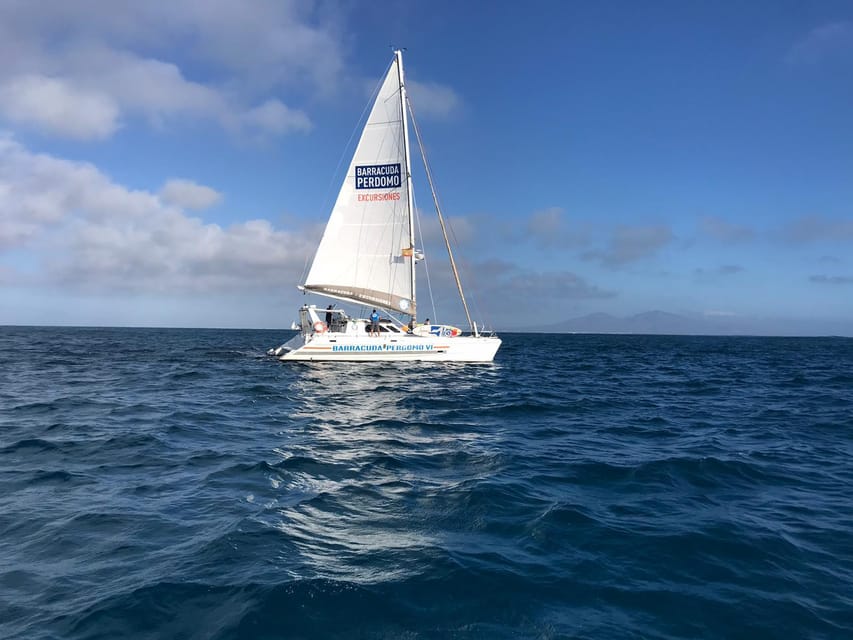 Fuerteventura : Catamaran excursion to Lobos Island - Who will enjoy this trip most