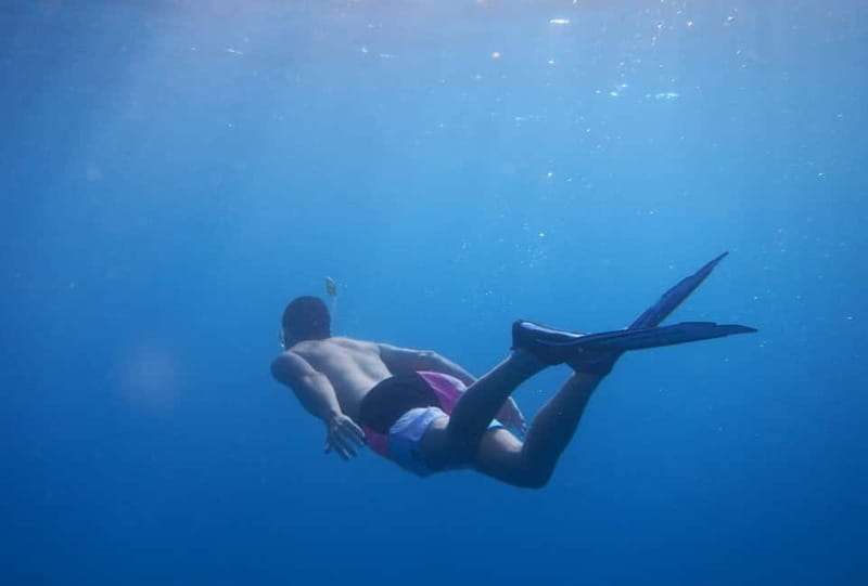 Fuerteventura: Lobos Island Catamaran Cruise with Lunch - Key points to know before you book