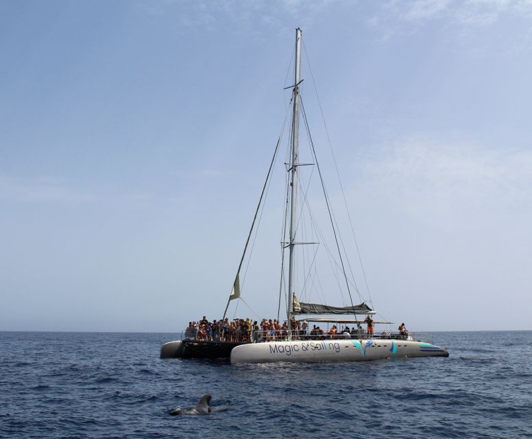 Fuerteventura: Magic Catamaran Trip with Food and Drinks - What $91 gets you