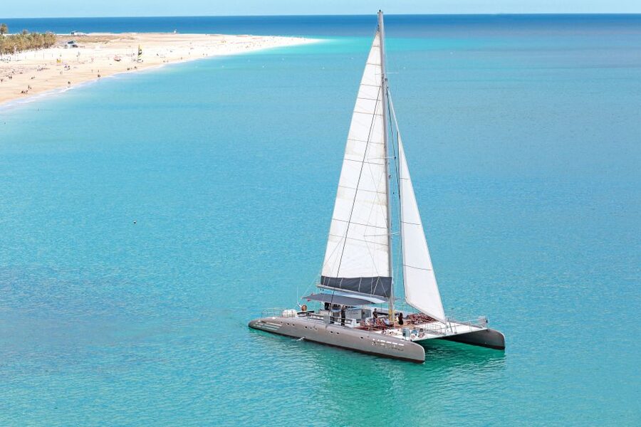 Fuerteventura: Magic Catamaran Trip with Food and Drinks - The 1.5-hour search for dolphins and whales