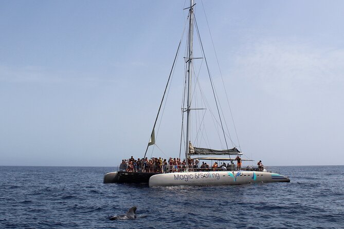 Fuerteventura: Magic Select Catamaran Trip with Food & Drinks - How the Price Works at $93.12