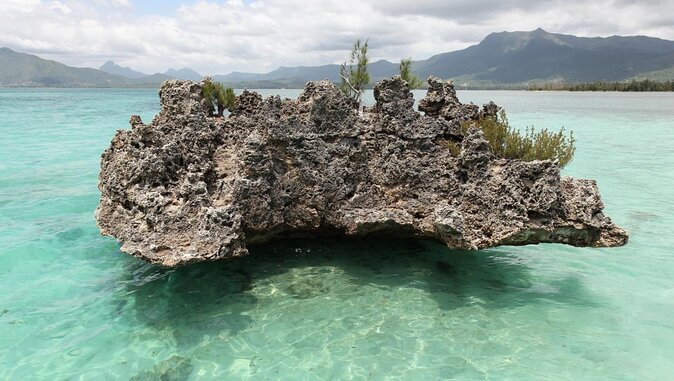 Full Day Catamaran Cruise on shared basis to Bénitiers Island - Key points before you book