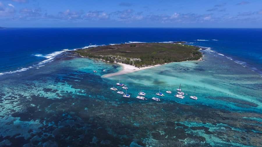 Full Day Catamaran Luxury Cruise to Northern Islands w Lunch - Flat Island and the First Snorkeling Session