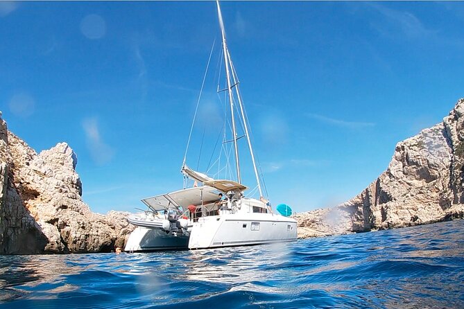 Full day catamaran tour in Alghero - The final swim near Alghero harbor