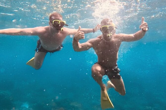 Full-day catamaran tour in Palermo: boat experience with lunch - Cliffs and Clear Water at Capo Gallo