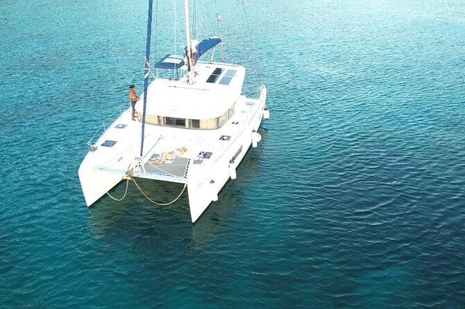 Full day EN Catamaran Martinique Dolphins and Turtles - Key points at a glance