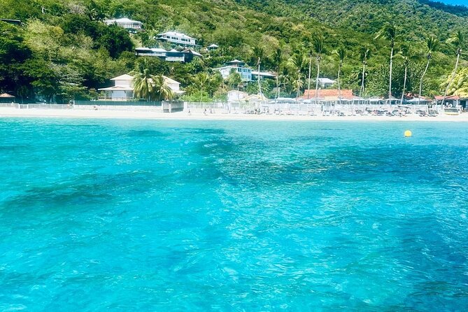 Full day EN Catamaran Martinique Dolphins and Turtles - The bat cave on the return route
