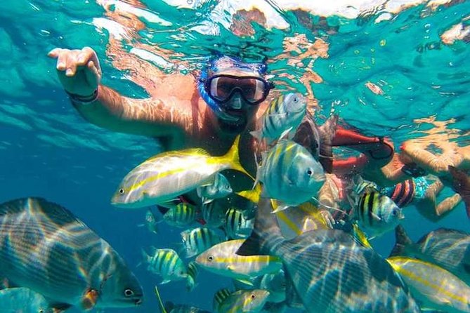 Full-Day Luxurious Catamaran Adventure - Cancún to Isla Mujeres - Snorkeling the coral reef