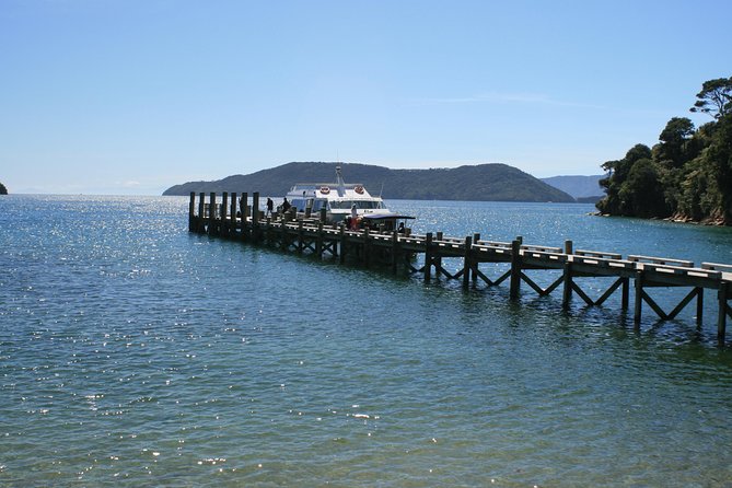 Full-Day Marlborough Catamaran Cruise with Wine Tour and Lunch - Why combine the Sound with Marlborough wine country?