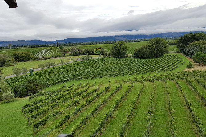 Full-Day Marlborough Catamaran Cruise with Wine Tour and Lunch - Who will enjoy this tour most?