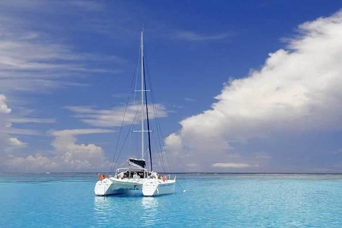 Full-Day Northern Catamaran Cruise: Coin de Mire and Ile Plate Island - What the $111.54 price really covers