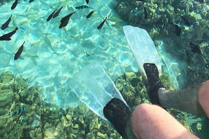 Full Day Private Catamaran Cruise to Bénitiers Island - Snorkeling at La Preneuse