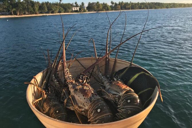 Full-Day Private Catamaran, Turks and Caicos Cruise - Little Water Cay, Also Called Iguana Island