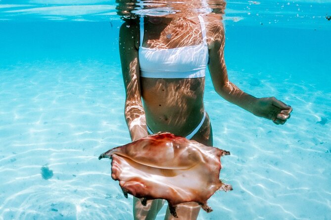 Full Day Tour : Moorea Snorkeling & Sunset Cruise on a Catamaran named Taboo - Fresh fruit, mai tais, and a practical break
