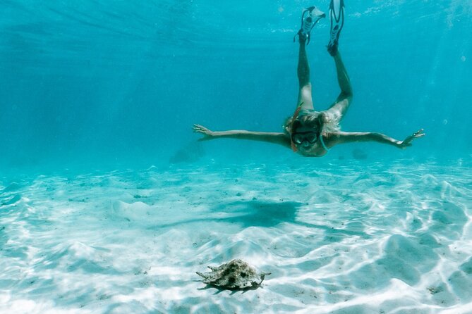 Full Day Tour : Moorea Snorkeling & Sunset Cruise on a Catamaran named Taboo - How the six-and-a-half-hour schedule feels