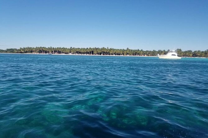 Full Day Tour to Saona Island by Catamaran and Speedboat - Lunch, open-bar time, and the beach massage tip