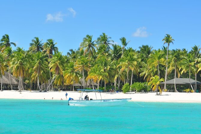Full Day Tour to Saona Island by Catamaran and Speedboat - Is $80 a good value?