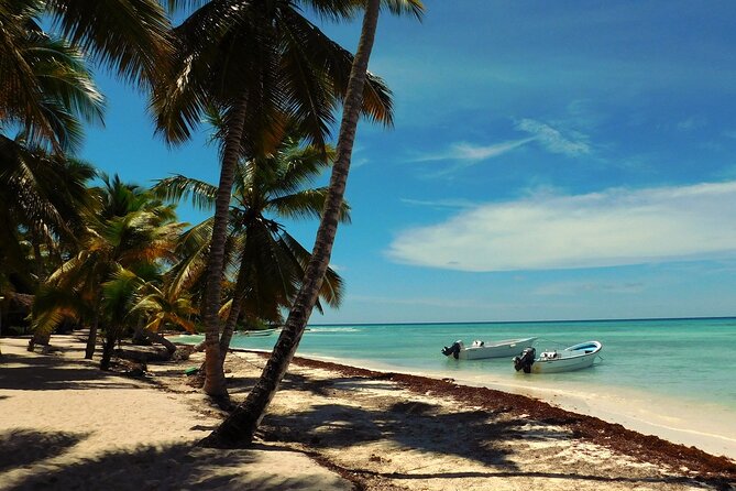 Full Day Tour to Saona Island by Catamaran and Speedboat - The morning start and boat ride