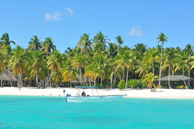 Full Day Tour to Saona Island by Catamaran from Cabeza de toro - Four hours on Saona’s white-sand beach