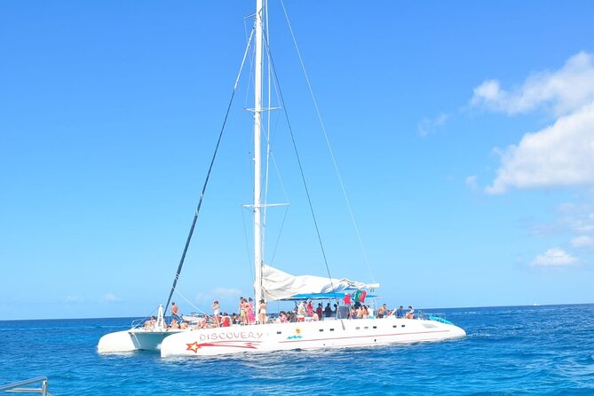 Full Day Tour to Saona Island by Catamaran from Cabeza de toro - How the $105 price measures up