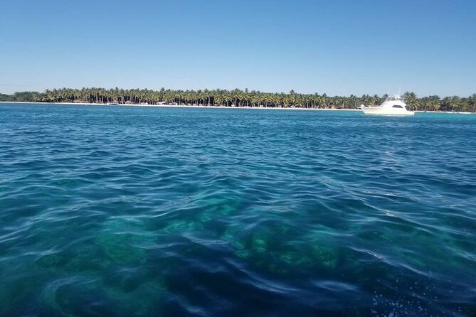 Full Day Tour to Saona Island by Catamaran from Cabeza de toro - Who will enjoy this excursion most