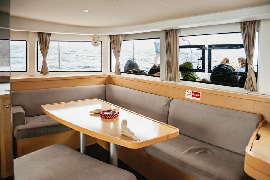 Funchal Bay: Dolphin & Whale Watch Luxury Catamaran Cruise - Who should book this Madeira cruise?