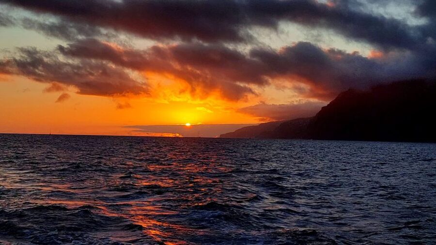 Funchal: Cabo Girão Sunset Catamaran Tour - Wildlife sightings add an unexpected bonus