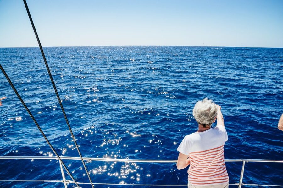 Funchal: Dolphin and Whale Watching by Luxury Catamaran - A smaller catamaran from Funchal Marina