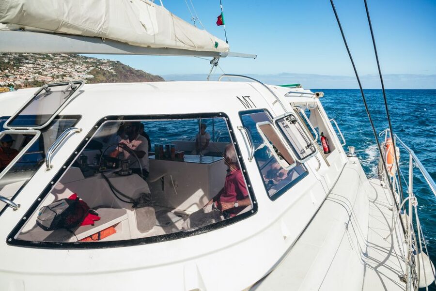 Funchal: Dolphin and Whale Watching by Luxury Catamaran - Sailing out in search of dolphins and whales