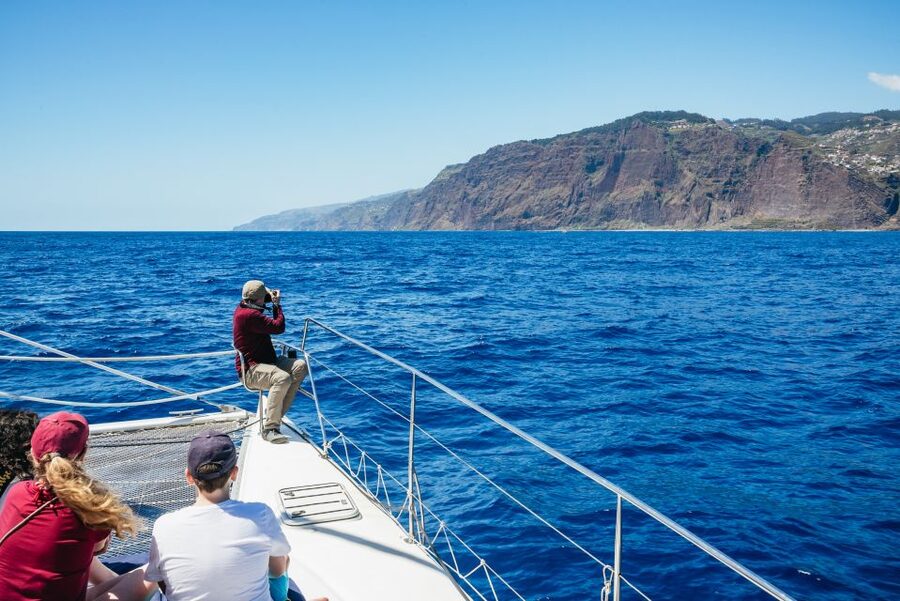 Funchal: Dolphin and Whale Watching by Luxury Catamaran - Cabo Girão beneath the 580-meter cliff