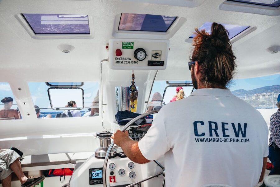 Funchal: Dolphin and Whale Watching by Luxury Catamaran - The return sail along Madeira’s coast