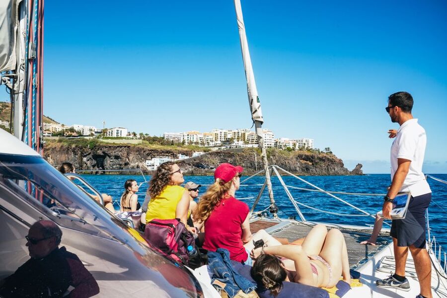 Funchal: Dolphin and Whale Watching by Luxury Catamaran - What the $47 price really buys you