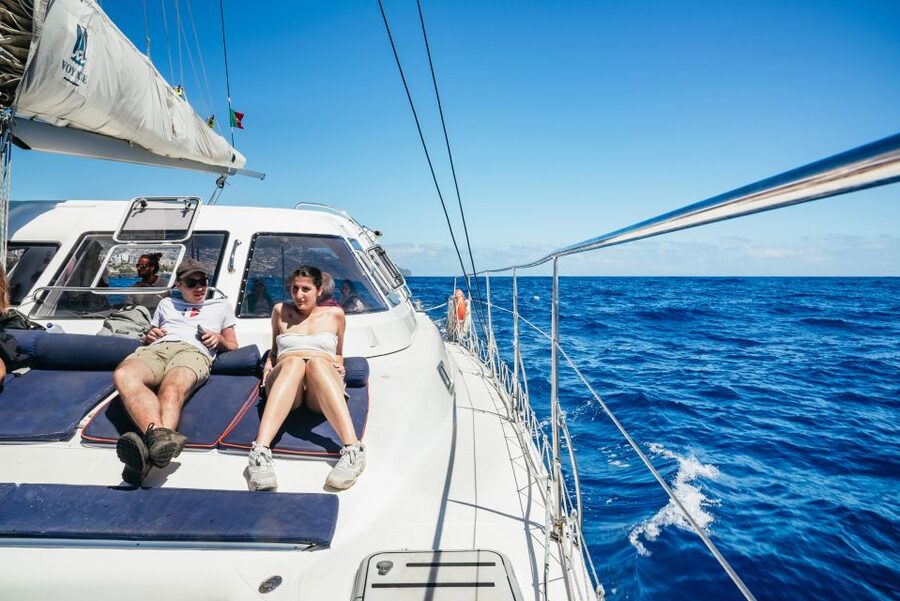 Funchal: Dolphin and Whale Watching by Luxury Catamaran - Practical tips for a better three hours
