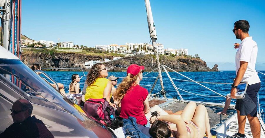 Funchal: Dolphin and Whale Watching by Luxury Catamaran - Meeting at Pier 8, not the old marina office