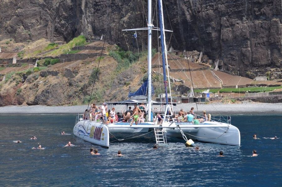 Funchal: Dolphin and Whale Watching Catamaran Cruise - Should You Book the Seaborn Catamaran?