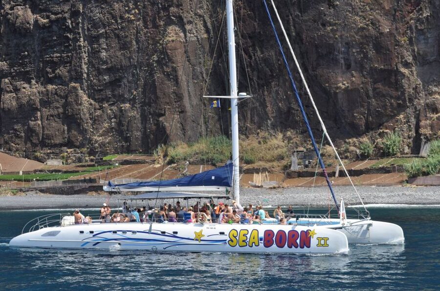 Funchal: Dolphin and Whale Watching Catamaran Cruise - Is $41 a Fair Price?