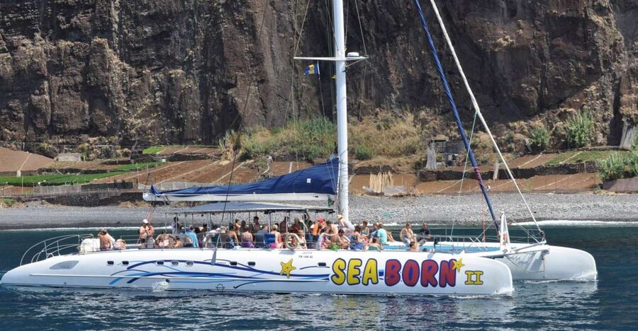 Funchal: Dolphin and Whale Watching Catamaran Cruise - Who Will Enjoy This Cruise Most?