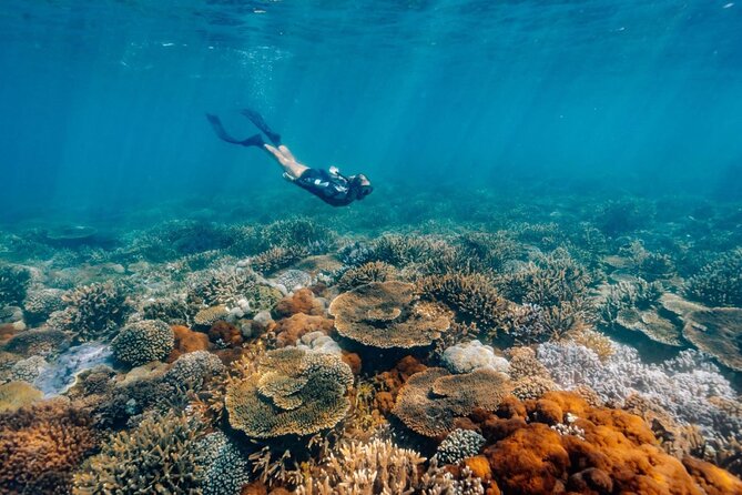 Funtastic Catamaran Cruise and Snorkel of Great Keppel Islands - Why This Catamaran Trip Works So Well