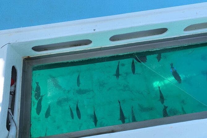 GlassBottom Catamaran with Slide - The natural pool and the boat slide