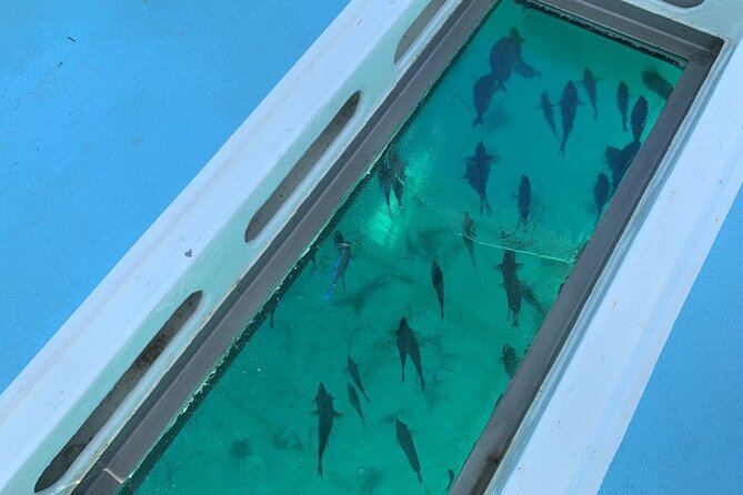 GlassBottom Catamaran with Slide - Crew, music, and the party atmosphere