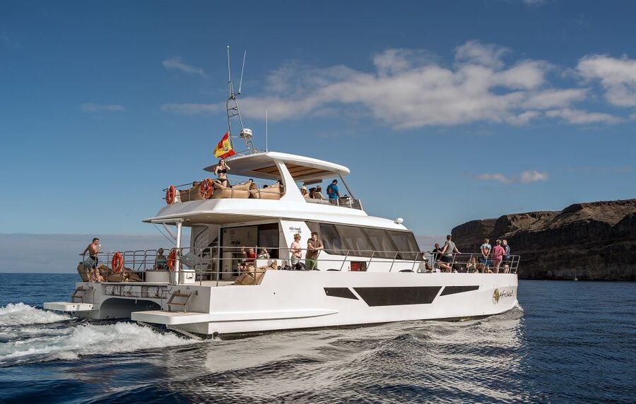 Gran Canaria: Afternoon Catamaran Cruise with Food & Drink - Who will enjoy this catamaran cruise?